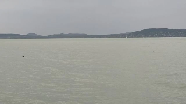 VID_20250417_115142.mp4