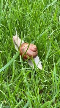 8AEFBD2B-F56C-434A-9842-F52F648B22D2.mp4