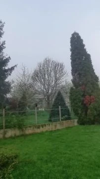 VID_20250419_064925.mp4