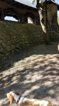 8b248d29-9e58-4be6-8d04-dd367208f170-1_all_1265.mp4