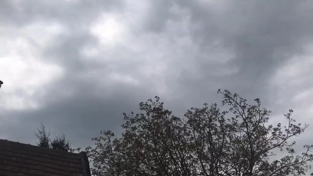 Várjuk az öntözést