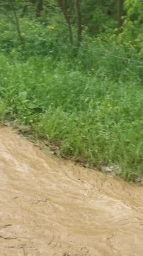 VID_20250424_140802.mp4