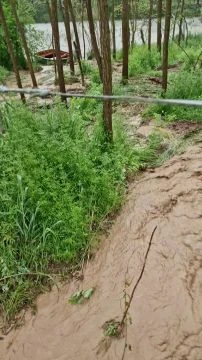 Villámárvíz Pusztaszemesen 1.