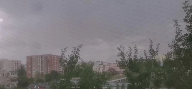 petal_20250424_160530.mp4