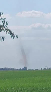 Porördög kavargott Orosháza közelében