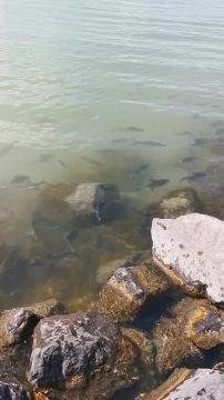 VID_20250501_144023.mp4