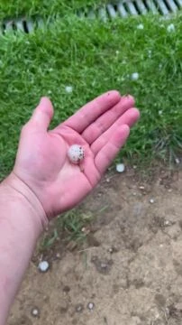 A12D03F9-AD61-41CC-9210-7F401C5CB8B0.mp4