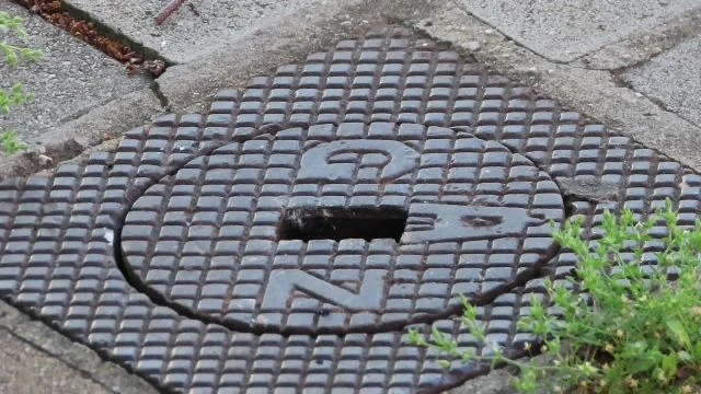 Ma reggel még mindig szorgosan etettek