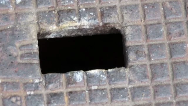 Sok éhes csőrt kell táplálni!