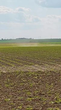 Porördög kavargott Taszár mellett