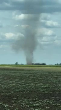 Porördög kavargott Orosháza és Nagyszénás között