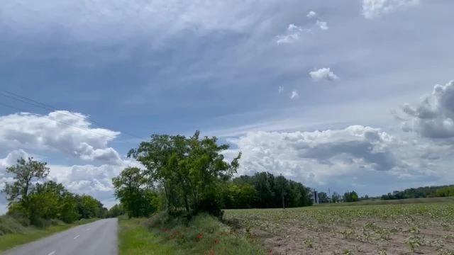 CE2730F3-C4C6-48B8-8A56-678BFB5F6C47.mp4