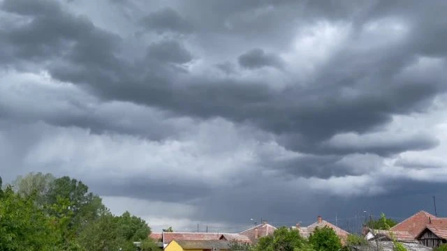 F7F3187D-87F9-402E-8403-6683867CAB74.mp4