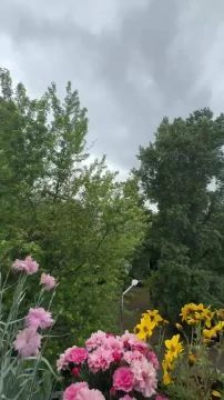 818C321E-2B79-4E31-AF97-3C6EA6866B54.mp4