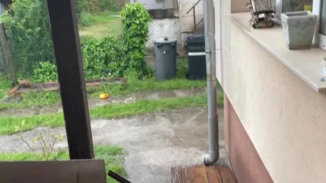 B73EDA58-A13B-4DB4-B3B8-2EEE3BEEBD8F.mp4