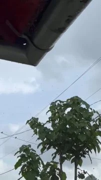 2617D354-8CE2-4A68-A20B-2D2BB4363B19.mp4