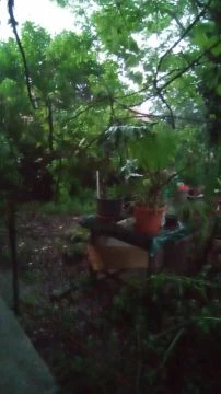 VID_20250522_192402.mp4