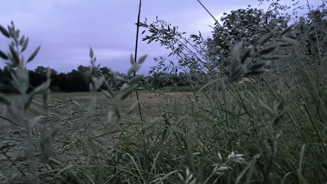 Ma esti (relaxációs zene) ☀◡☀