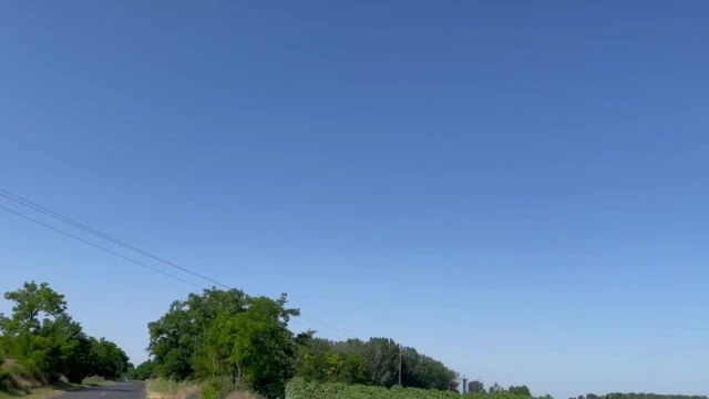 1E9B2391-50C0-4AE8-93E0-1A7248EEC66A.mp4