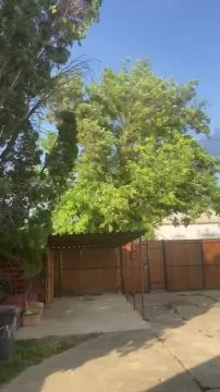 EE650779-A2EF-4EE5-A17E-4C0C6571B9EC.mp4