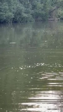 344623D5-E215-4481-90DC-14DEB9C045BB.mp4