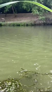 0484E274-7A19-47F0-958D-F66EC3A9D5DC.mp4