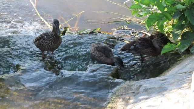 Visszamentem hozzájuk!