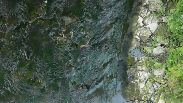 A Tarna patak Feldebrőnél.