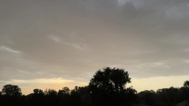 99F3EE77-D3A8-4828-9BE9-6F09A4F2C341.mp4