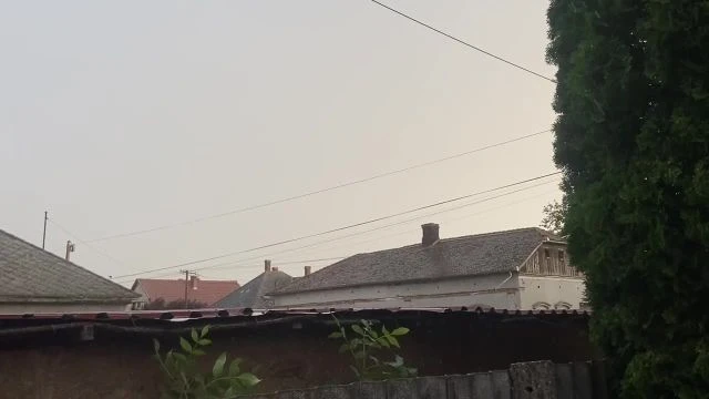 46CC1EF6-B31D-4BA3-B549-3D11EB063218.mp4