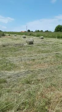 video-d7dd0057f85b229696be998ceaacd9d4-V.mp4