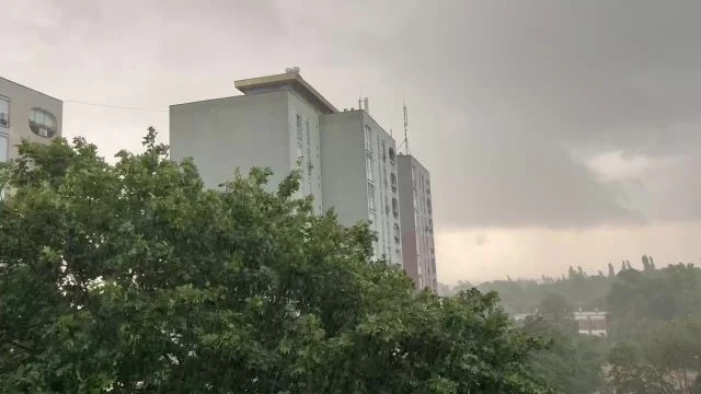 9E605592-0240-4C82-95D1-91E1E0A4426F.mp4