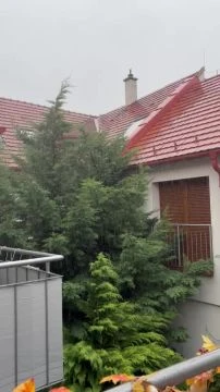 DBA2020E-E4EE-498B-AA57-9329282489D5.mp4