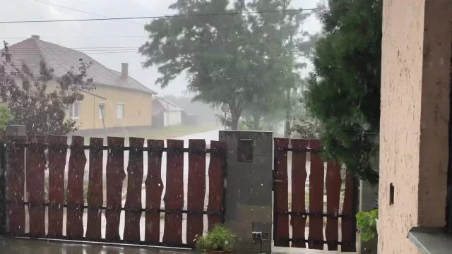 F45EE6C8-855B-4E11-BB64-8E54C49EF53A.mp4