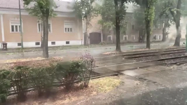 DE93352A-B15D-45F2-86B9-5CAE1FE57FEB.mp4