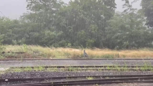 58150E7A-F058-42A8-A8D3-D1F663B0AFD6.mp4