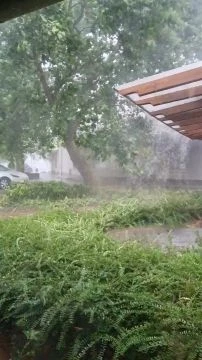 f805fad2-cc5e-46ee-8e47-6482f20c40d5-1_all_155030.mp4