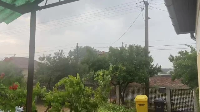 05D4F508-105B-4427-8DF9-F586224384D0.mp4