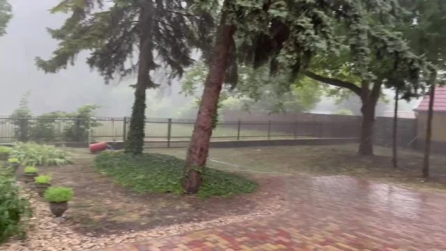 6825DD30-67F8-48C8-810E-2EC89C14896B.mp4