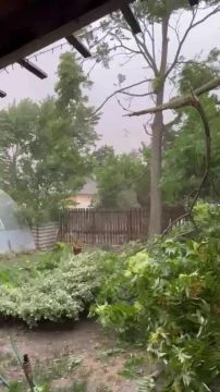 6574AF2F-4746-4CE1-82C6-ED682282D70B.mp4