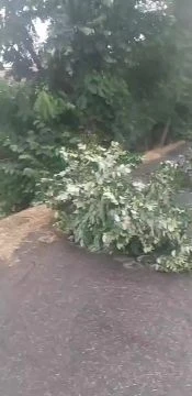 Messenger_creation_0B66DEFC-1E57-4955-9D6C-97B419A42BF3.mp4