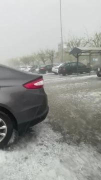 287B3D32-A183-40A4-946E-3A6CC52320DE.mp4