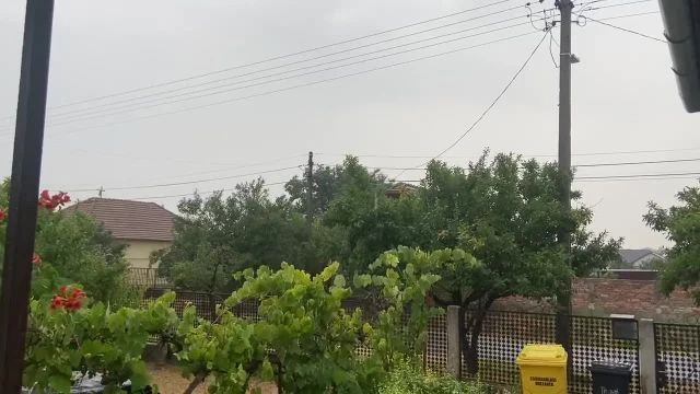 60EF2641-2746-4521-8299-B1CAB8C1903F.mp4