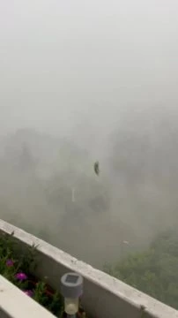 53E1282A-6EEF-4C9B-AC10-7A878E8AF526.mp4