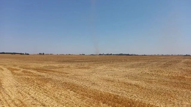 Kicsi is, poros is, de a mienk.