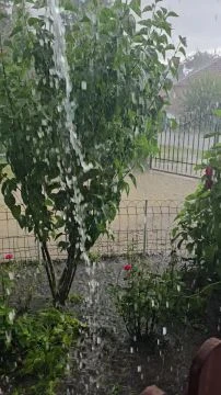 Icipici jéggel karöltve