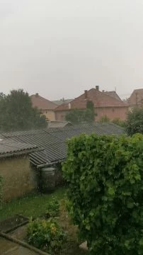 VID20250717140621.mp4