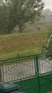 VID20250717140751.mp4