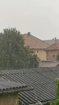 VID20250717140831.mp4