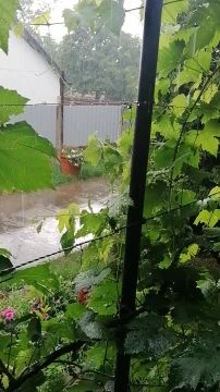 VID_20250717_160546.mp4